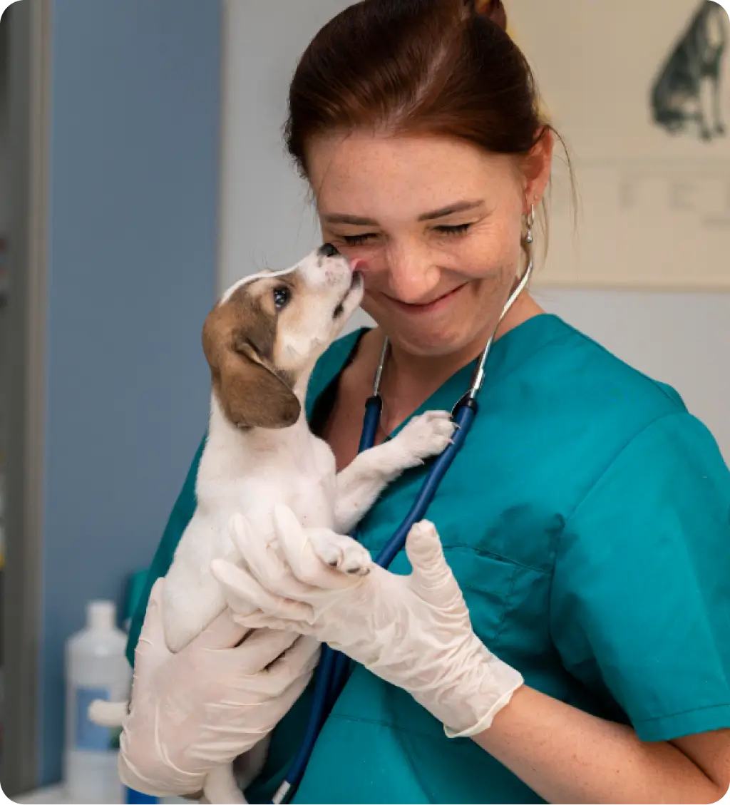 Dr. Katona Ramóna vezető állatorvos